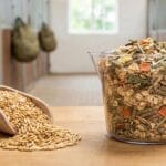 Owies czy pełnoporcjowe mieszanki? Wielka debata o tym, co naprawdę napędza Twojego konia