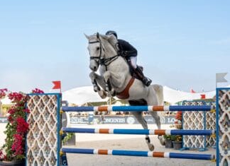 Jak wybierać konkursy dla konia w różnym wieku i typie budowy, by rozwijać go sportowo i nie ryzykować zdrowia Koń z jeźdźcem podczas skoku przez przeszkodę na zawodach outdoorowych